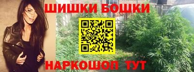 шишки Славгород
