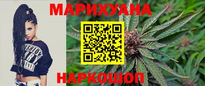 шишки Славгород