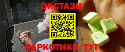шишки Славгород