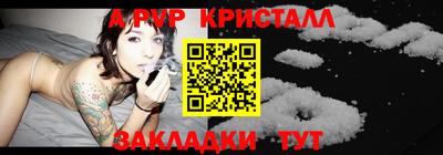 шишки Славгород