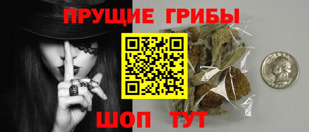 Галлюциногенные грибы Cubensis  Вход с VPN  Нефтекамск 